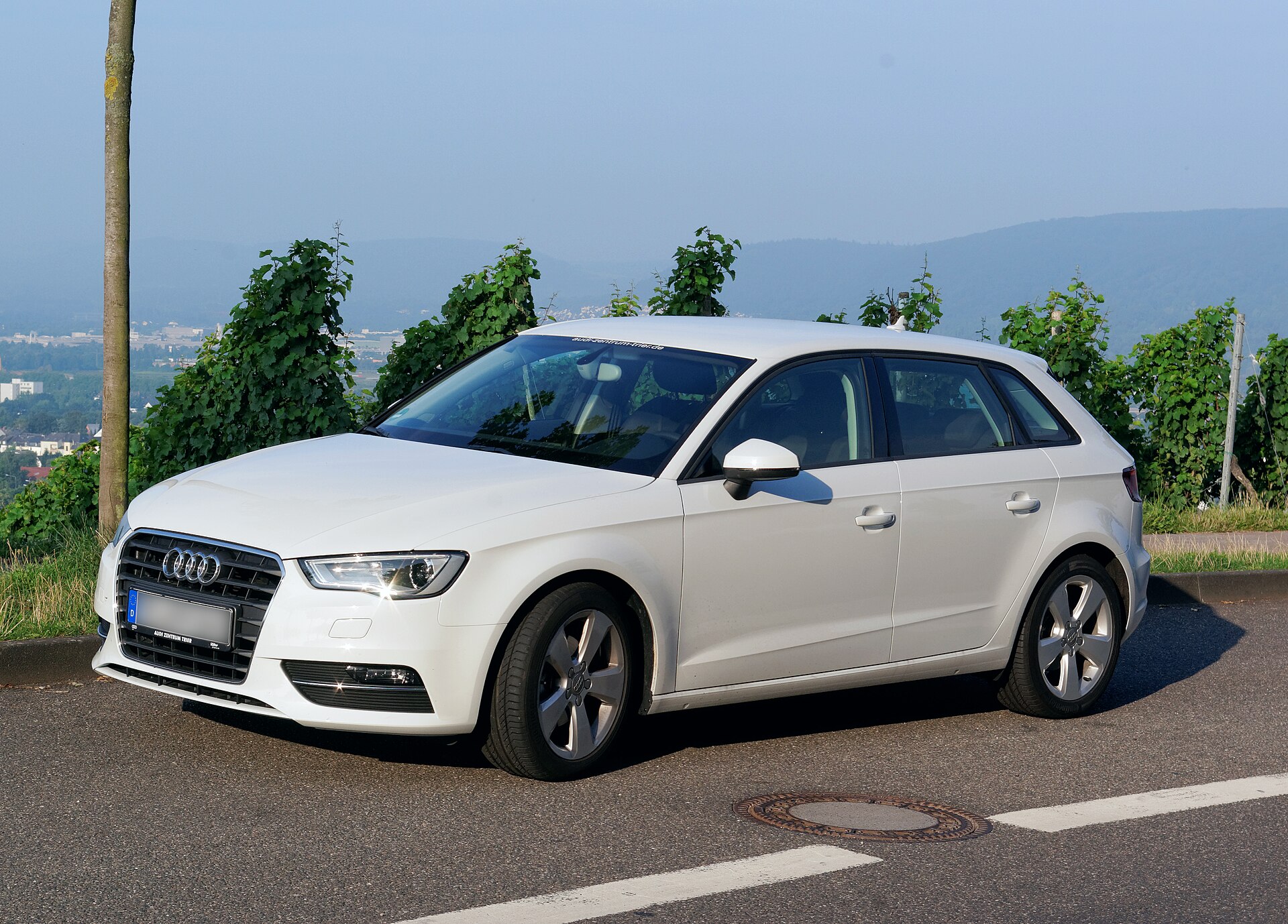 Audi A3 8V, the generation of the 1.6 TDI Ultra launched in 2013.