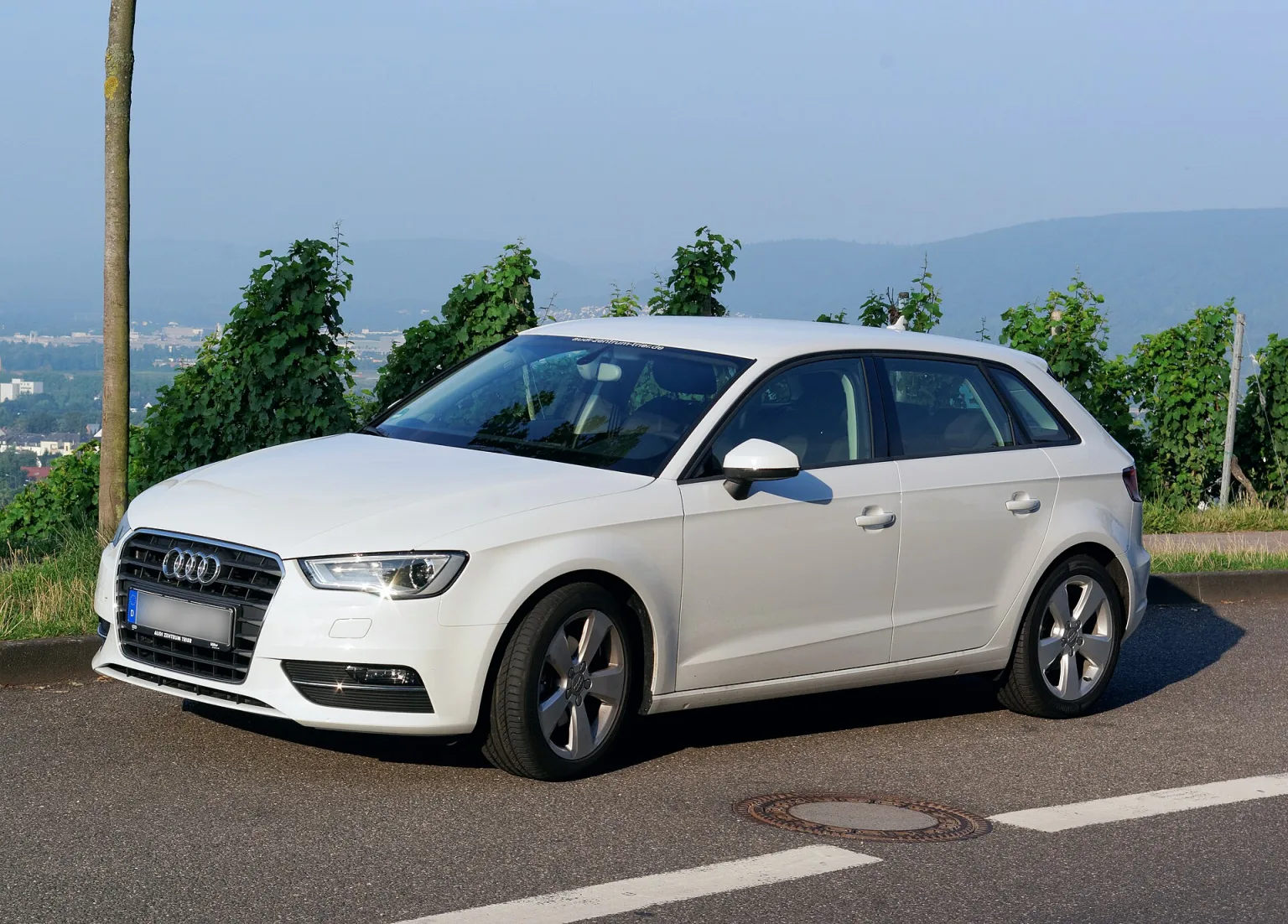 Audi A3 8V, the generation of the 1.6 TDI Ultra launched in 2013.
