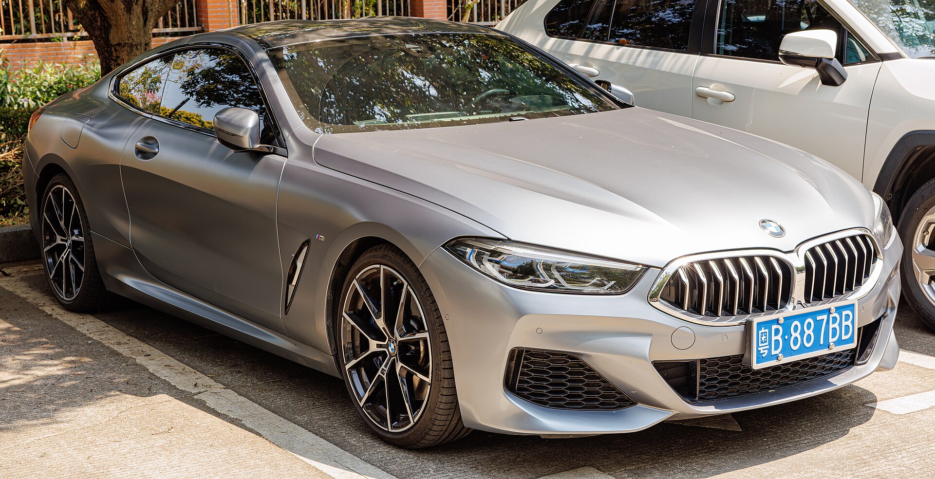 BMW 8 Series Coupe (G15) in China