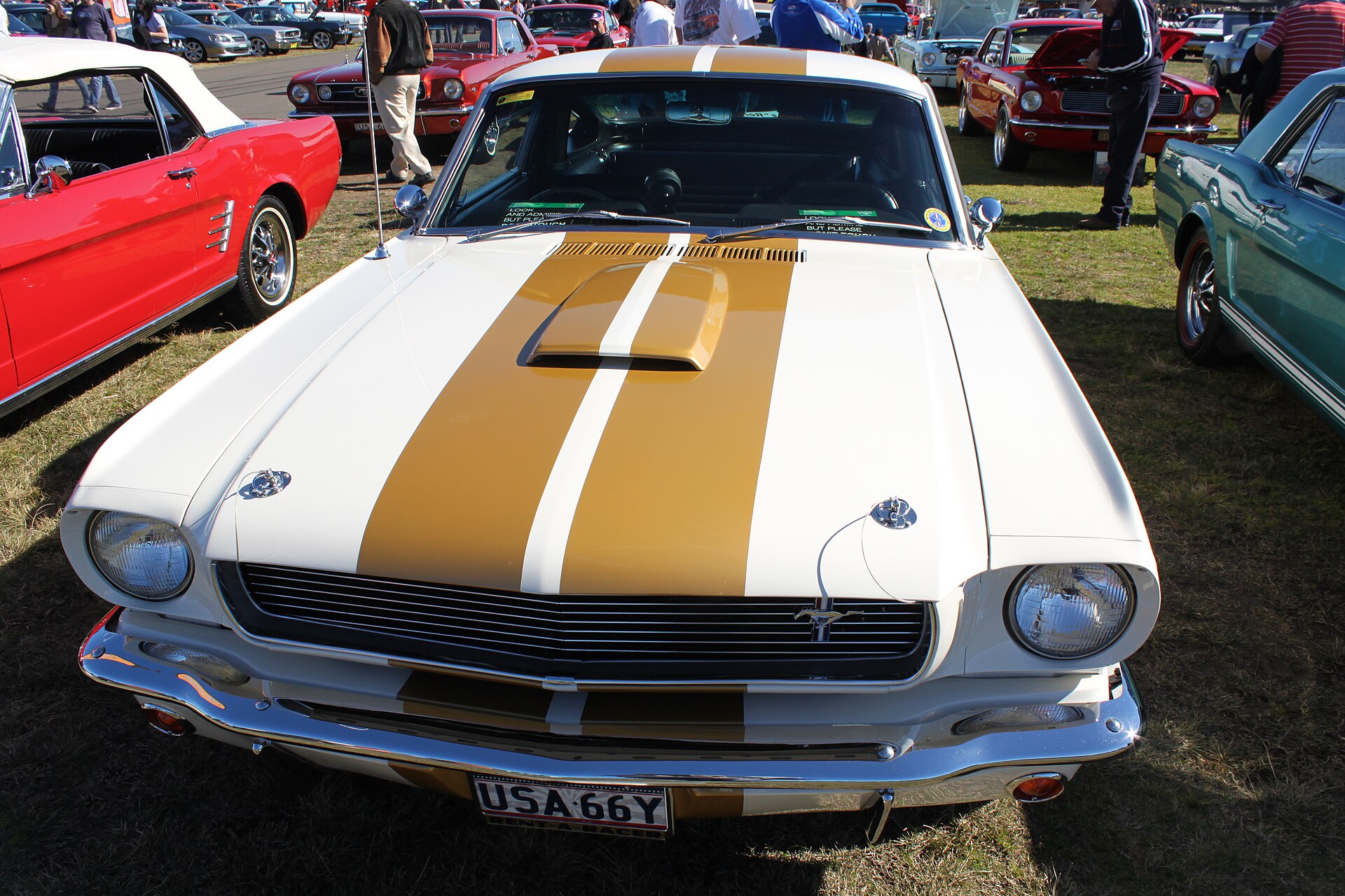 1966 Ford Shelby Mustang GT350 at a car show