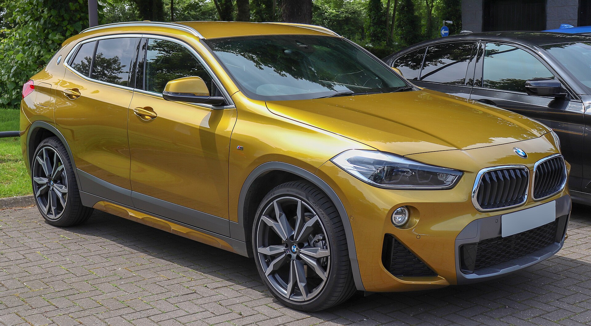 2018 BMW X2 xDrive20D M Sport X (F39)