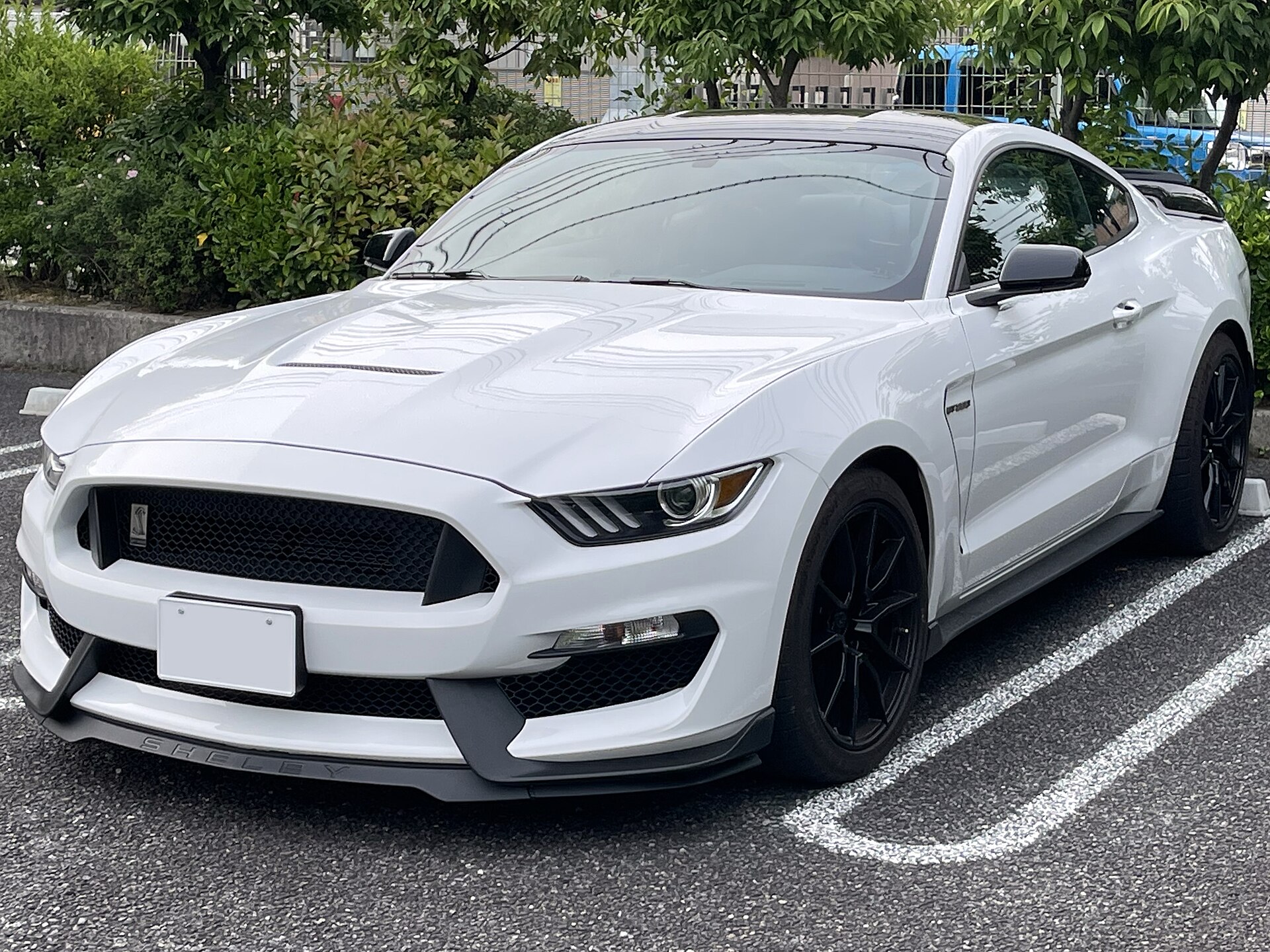 Ford Mustang Shelby GT350 (S550) in white with blue stripes