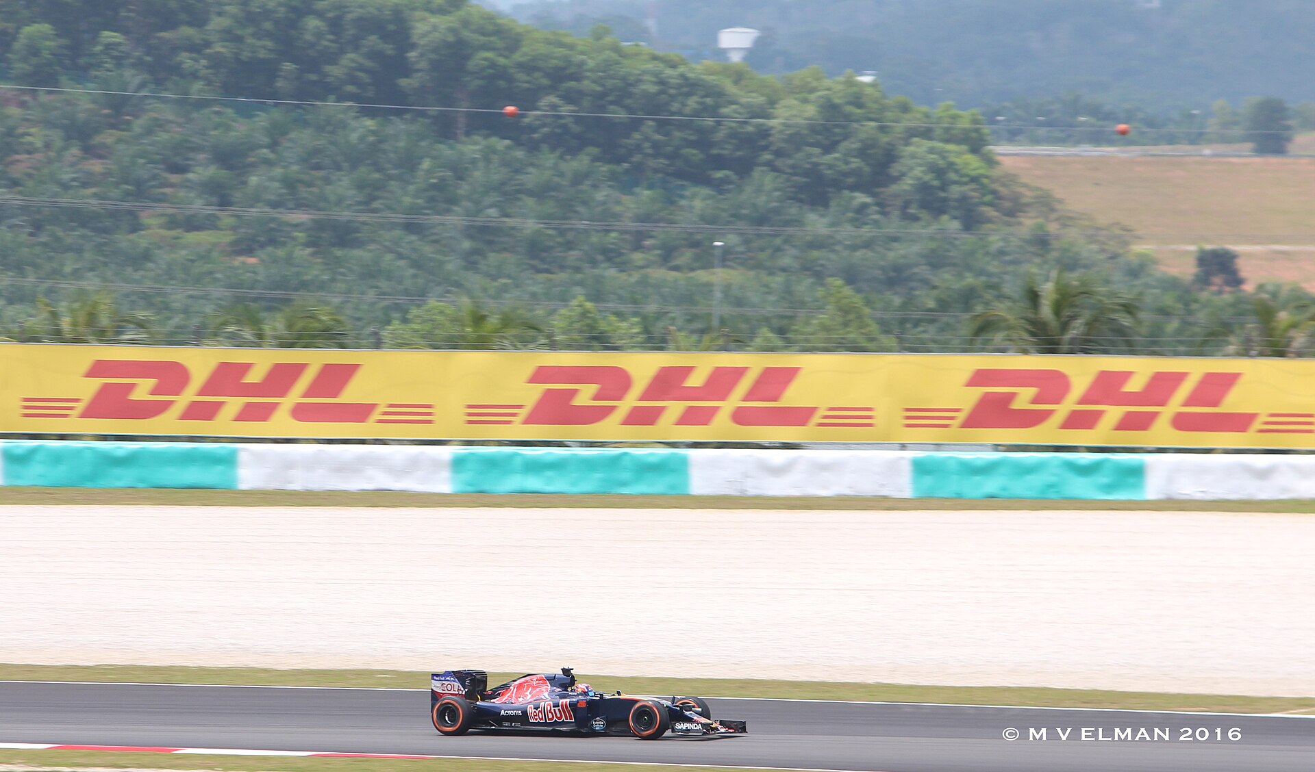 Daniil Kvyat driving the Scuderia Toro Rosso STR11 in 2016.
